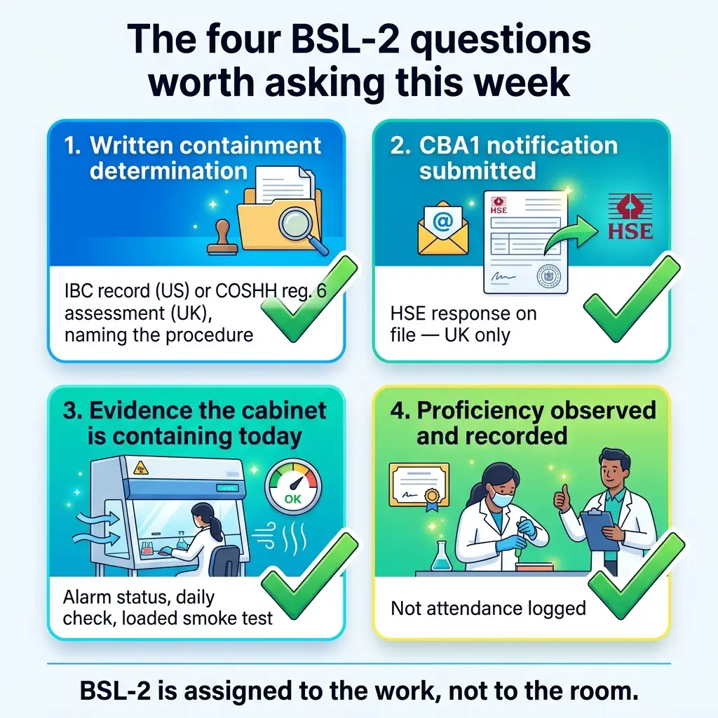 Infographic showing four key BSL-2 laboratory safety questions: written containment determination, CBA1 notification submission, cabinet containment evidence, and proficiency observation, each with checkmarks and relevant icons.