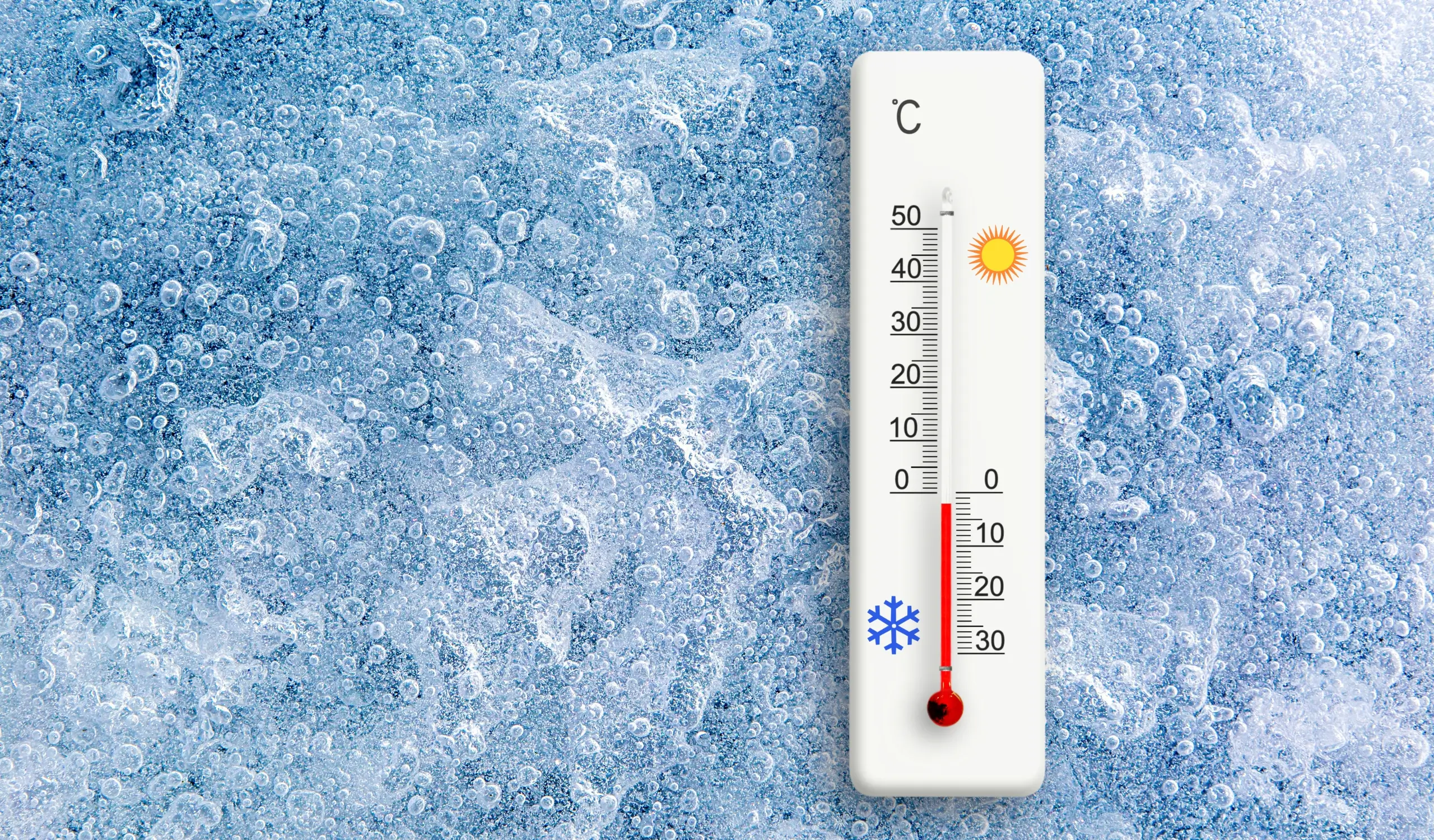 What is a Freeze Warning